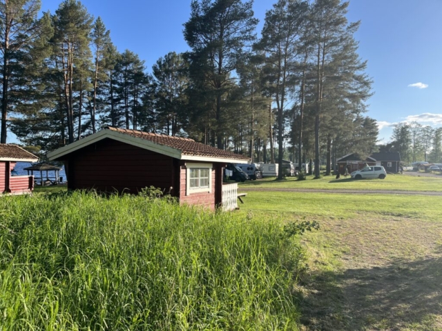 View from Violen